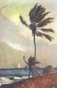 Winslow Homer Palm Tree, Nassau Spain oil painting reproduction